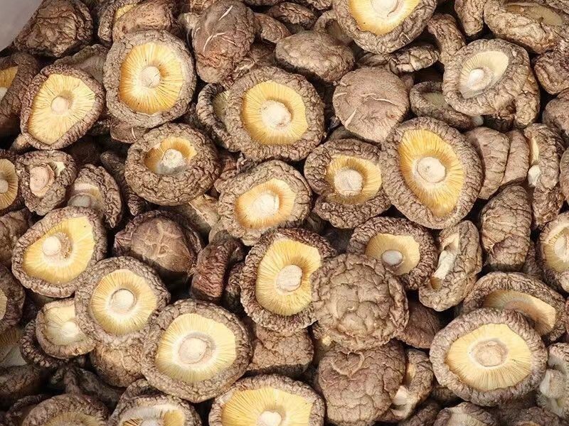 买香菇挑什么样的好,买香菇干的实惠还是湿的实惠