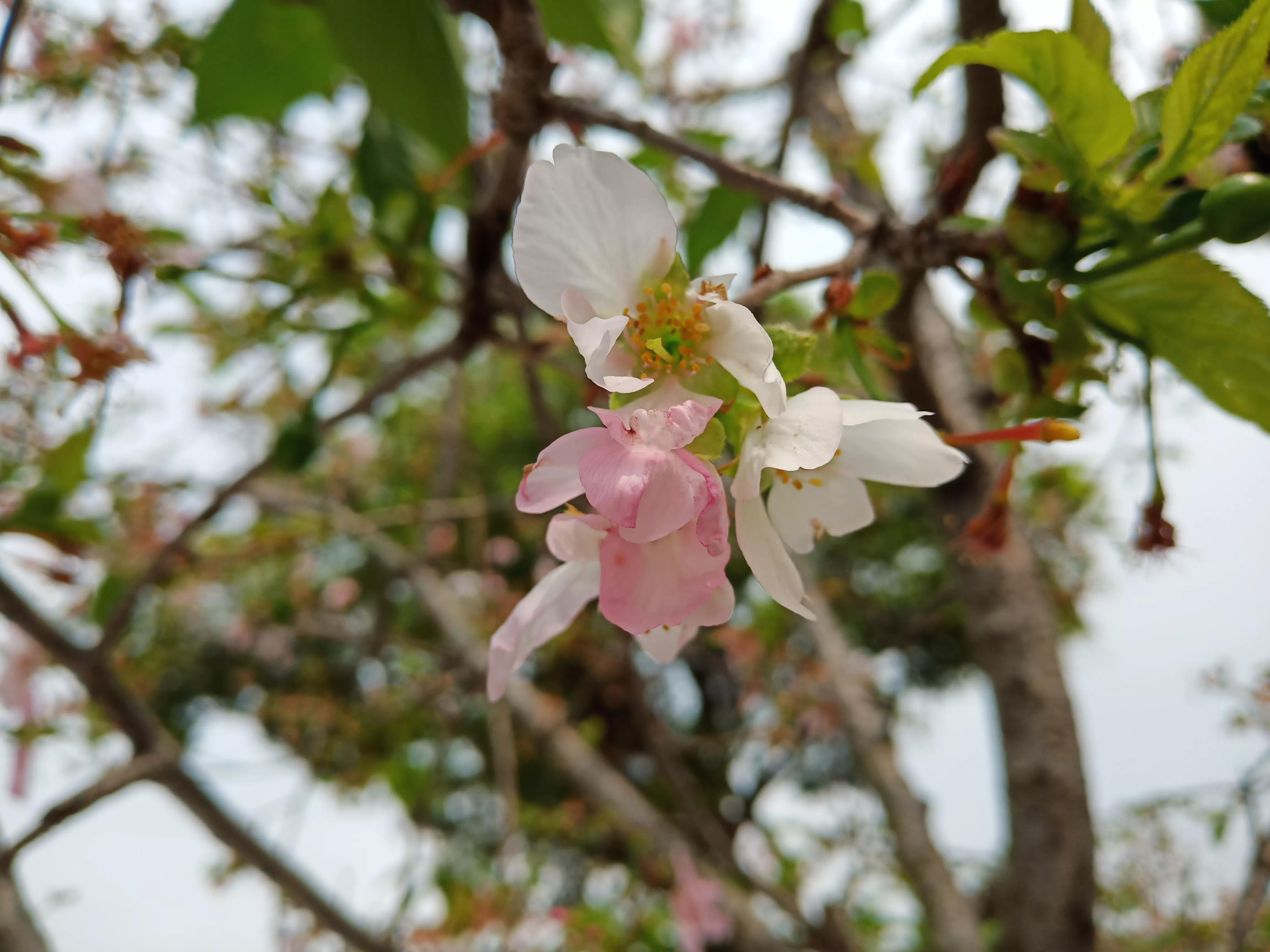 在广州打工一辈子也买不起一套房,在广州打工的真实生活感受