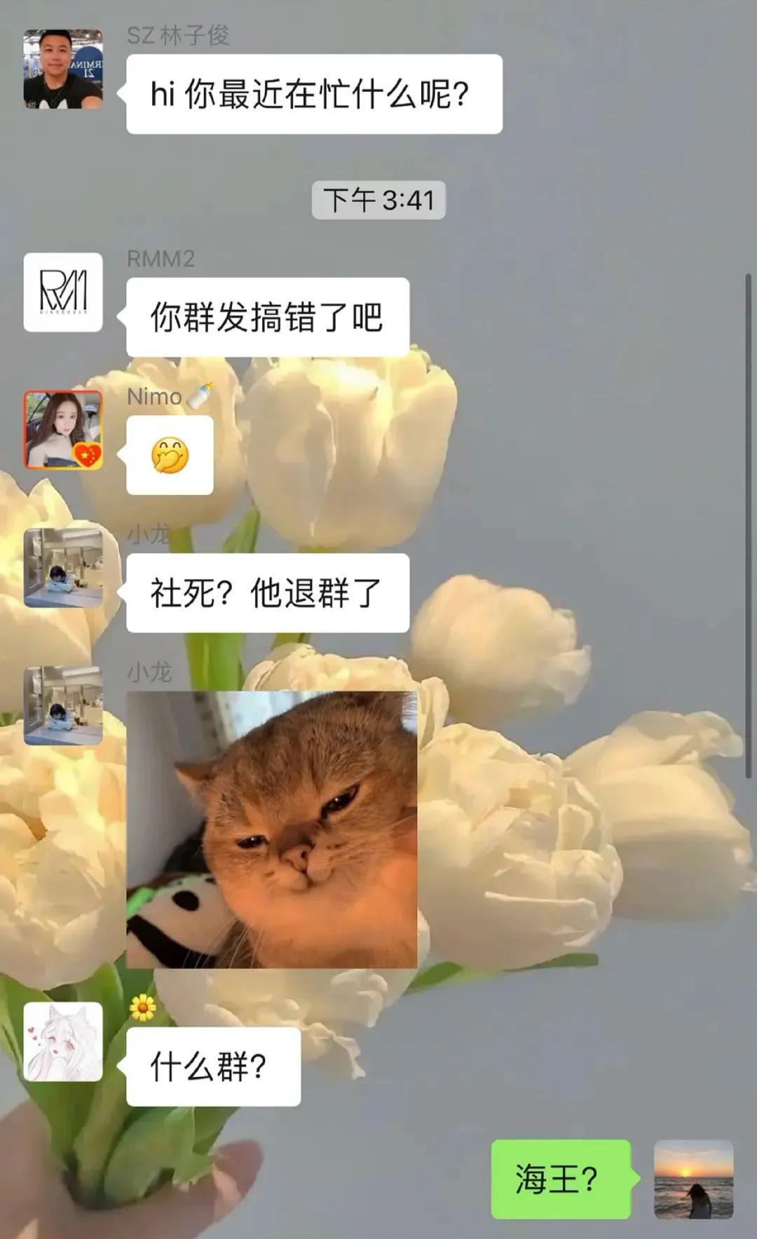 信息发错群有多尴尬,发错群的尴尬事件评论区