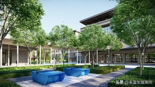 郑州五高是几批次,郑州五高招生联系电话