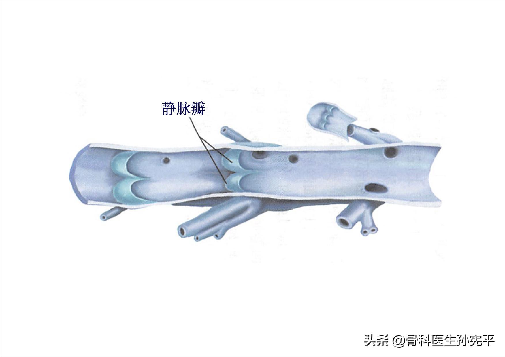 老年下肢水肿的原因和治疗,80岁老人下肢水肿原因