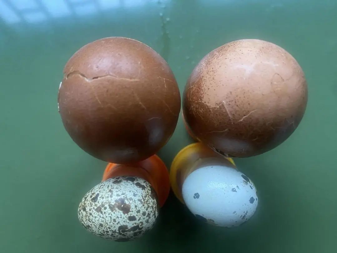 美白牙膏真的好用吗,美白牙膏效果是真的吗