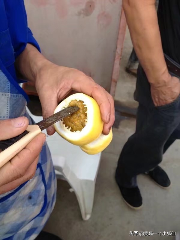 黑人女人在我们公司门口卖百香果（我在非洲安哥拉的日子302）