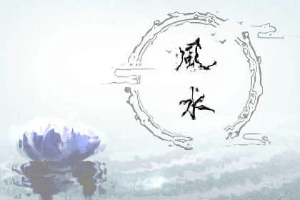 家里进了壁虎可以不理吗,家有壁虎需要留住吗