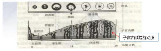 月经颜色黑代表啥,月经颜色暗红粘稠