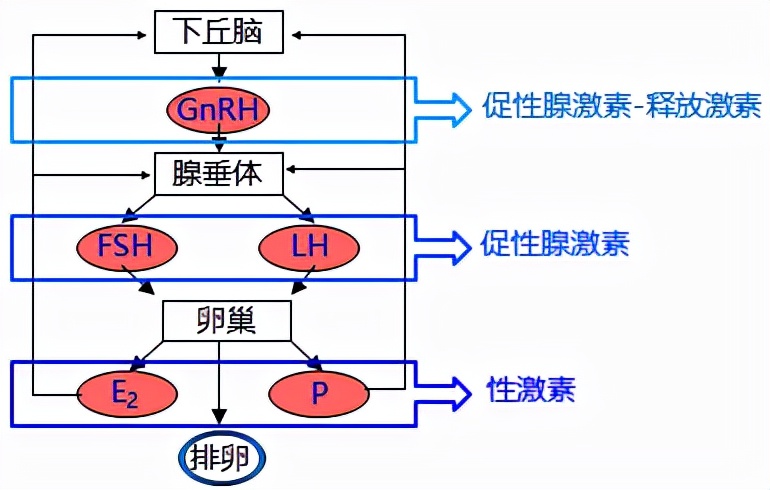 怕ta不来，又怕ta乱来！女生关于月经那点事儿