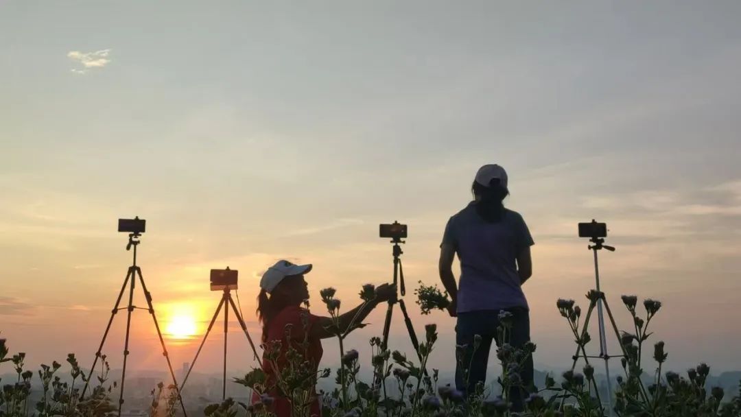 坚持每天这样做,收入越来越多