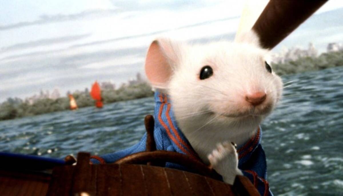 老鼠变少的原因是什么,为什么老鼠变少了