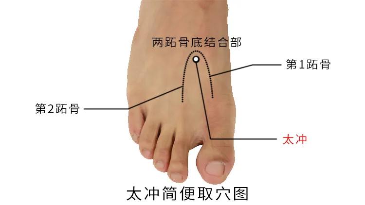 惊蛰节气预示什么,惊蛰让阳气生发更顺畅