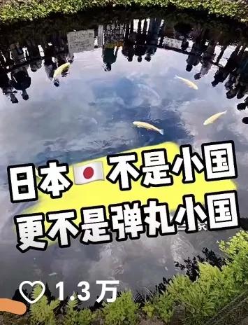 晶晶的日常生活日记,晶晶在日本卖手表