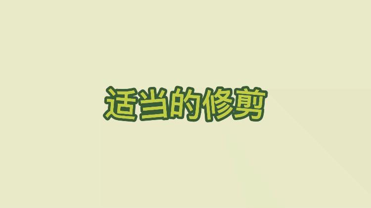 云种植宣传视频,云种果农业课堂