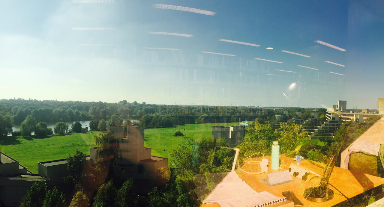 东英吉利大学值不值得去,东英吉利大学世界大学