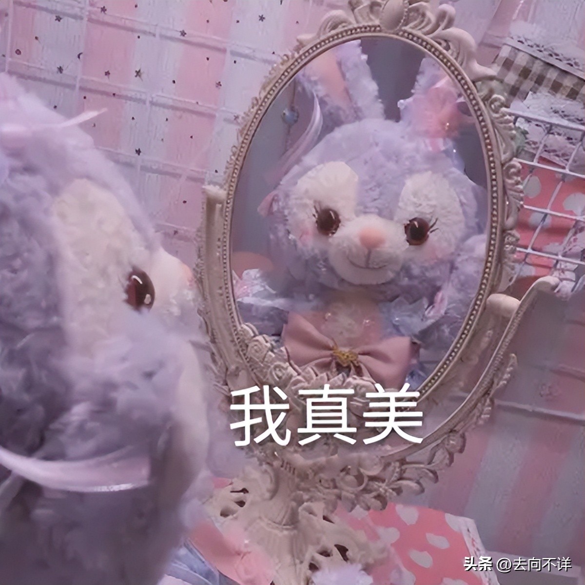 属兔的性格都一样吗,属兔的有什么特别的