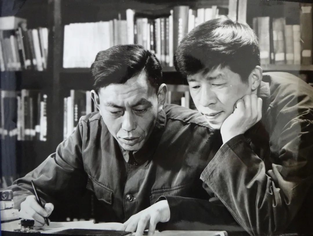 数学家杨乐成就,数学家杨乐在数学界中地位