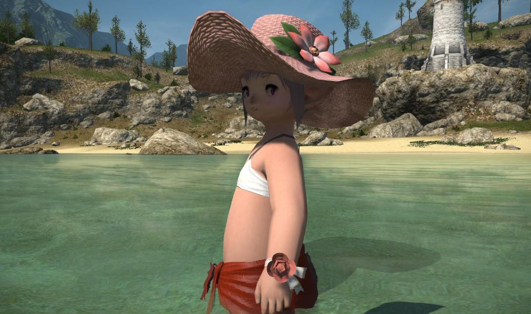 ff14怎么把豆芽隐藏了,ff14怎么保持豆芽不消失