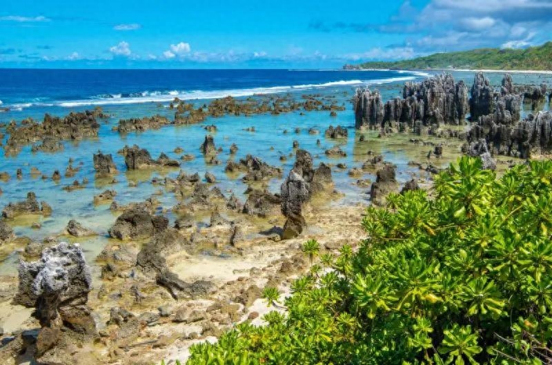 不可思议！台湾的“邦交国”竟然还有这么多！