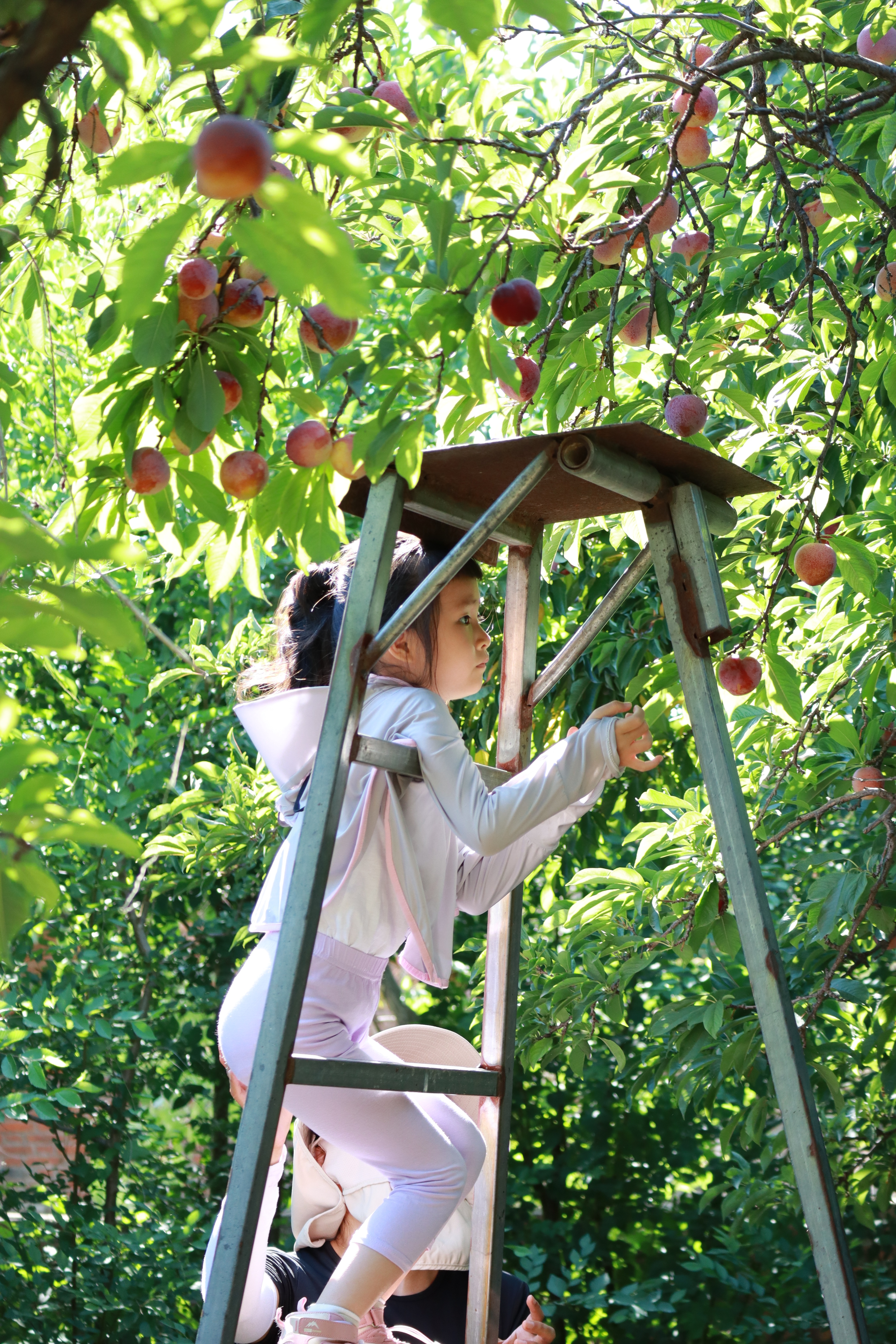 冬天天津周边徒步路线推荐,天津徒步旅游线路