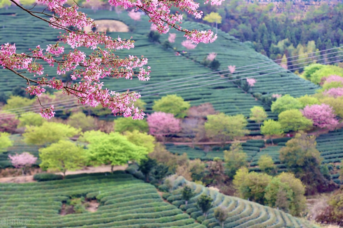 二月，适合去旅行的十个地方