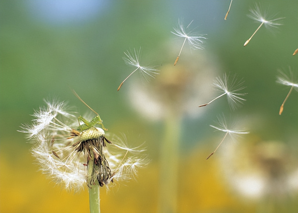 师生情是人生中重要的情谊,师生关系是最温柔的关系