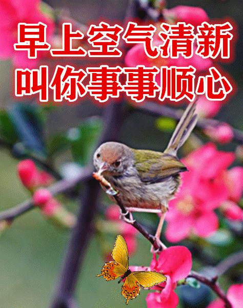 累成狗的英语口语,累成狗台词