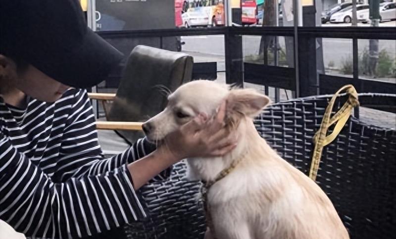 女性一般感染阴虱都是成虫感染吗,妇女阴虱