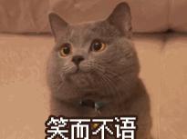 手机和电脑应该怎么选择,电脑和手机应该怎么选择