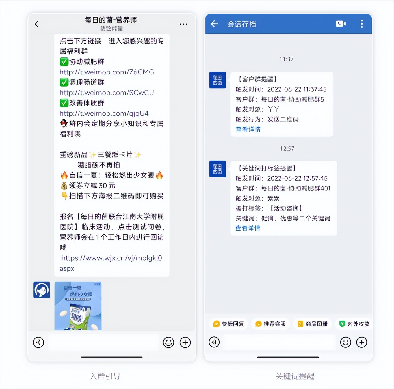 微盟：每日的菌、燃力士、么么茶旅拍的私域IP妙招
