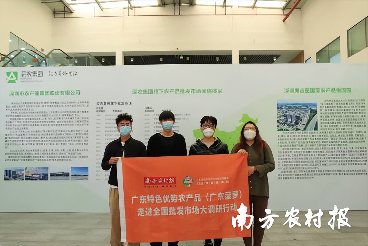 深圳海吉星菠萝一斤多少钱,平湖海吉星菠萝批发