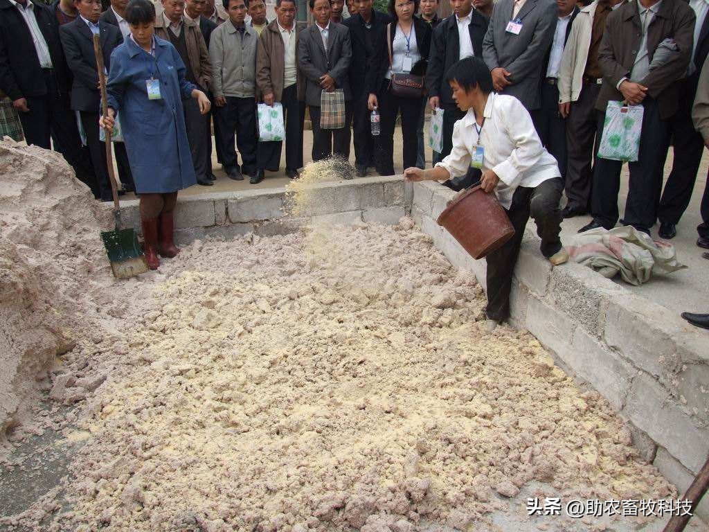木薯渣喂猪饲料,发酵豆腐渣养鸡饲料