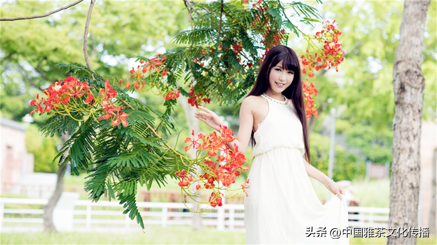 几缕茶香,一壶清茶几缕阳光几分优雅