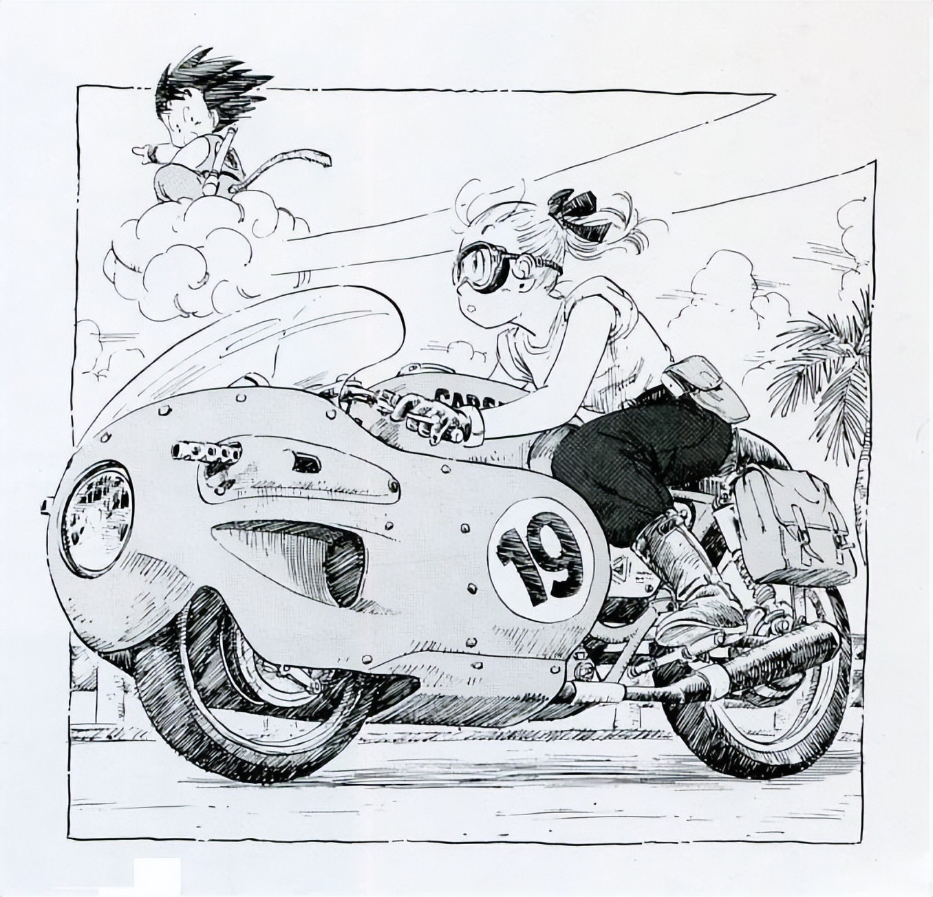 布玛19号摩托改装,龙珠19号摩托