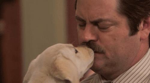 为什么别人的狗上过大学,我的狗只会吃喝睡?