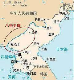 1950他们正年轻纪录片解说,纪录片1950年他们正年轻全集