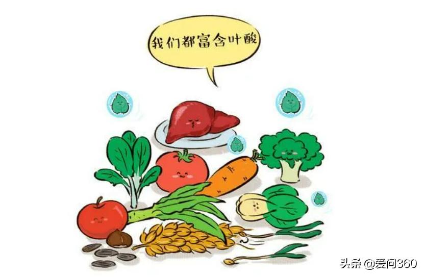 含叶酸最好的十种食物补铁,叶酸含量高对身体有什么影响