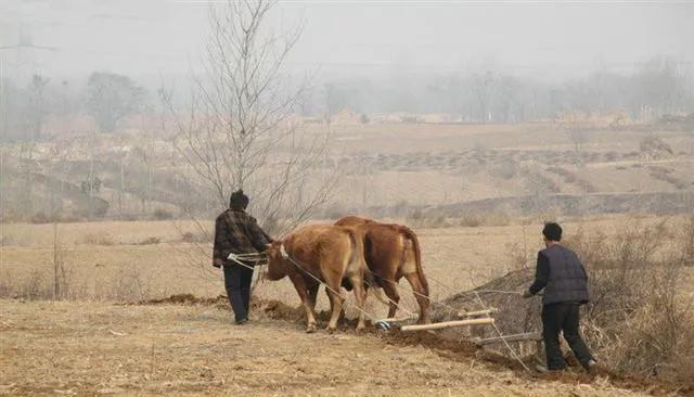 80后回忆还记得吗,80后的记忆还记得吗