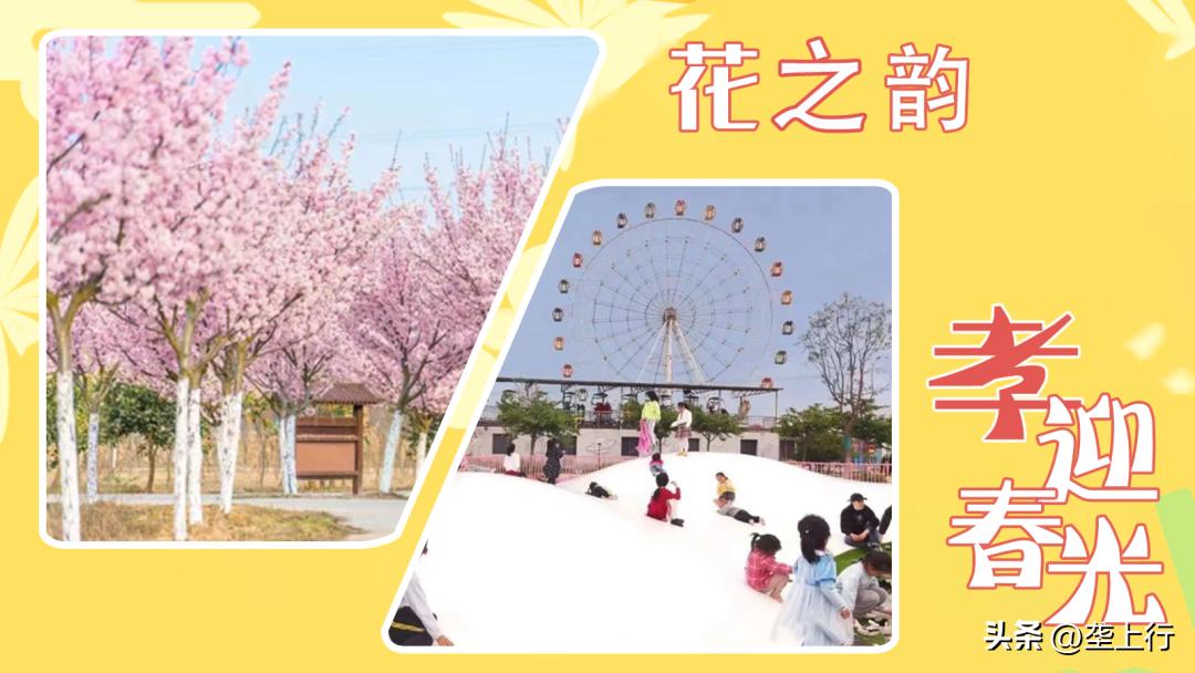 湖北春季赏花攻略十大赏花路线,叮你有一份礼物请查收音频