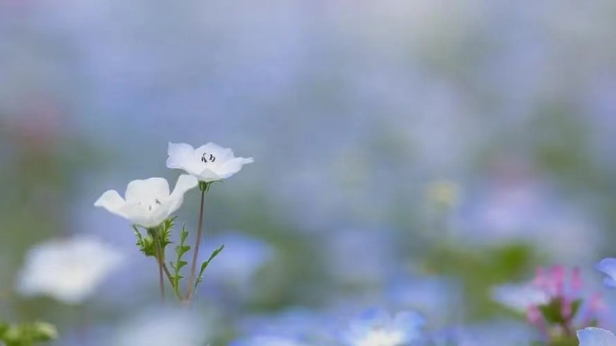 精神创伤就如剥夺睡眠一样,精神创伤怎么自我治愈