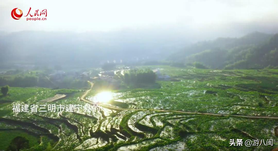 世界最大的梯田,世界梯田之最