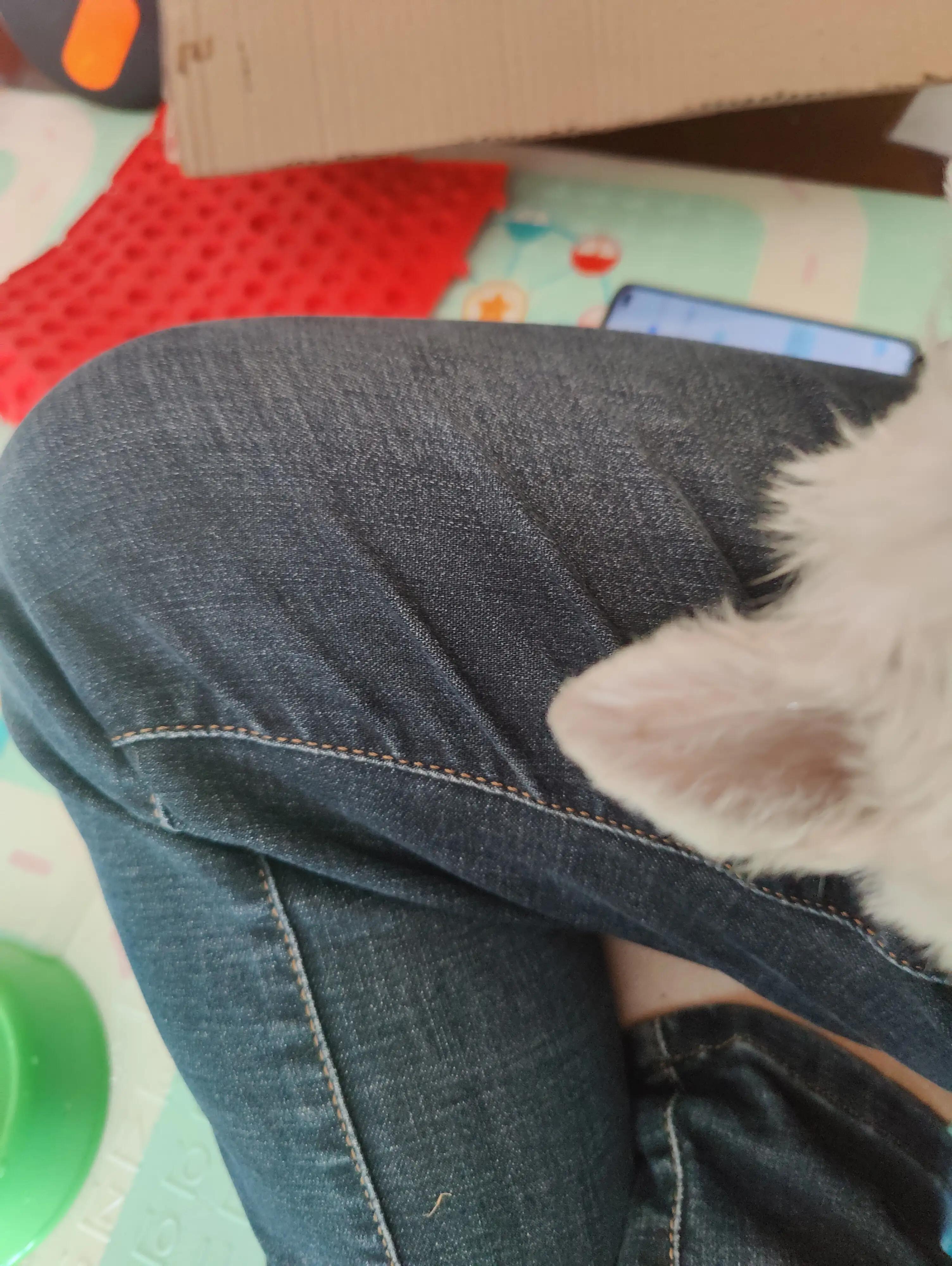 在网上购买宠物被欺骗了怎么办,怎么防止买宠物被骗系列