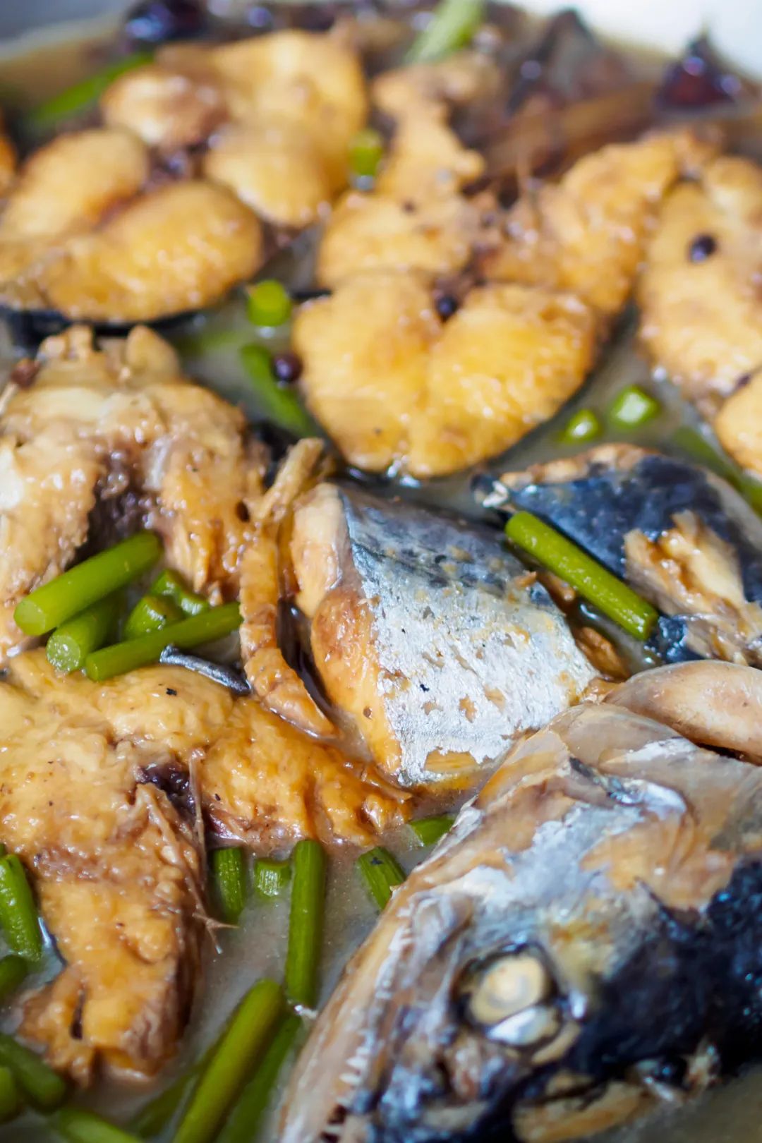 南方马鲛和北方马鲛哪个好吃,山东鲅鱼与南方马鲛鱼哪个好吃