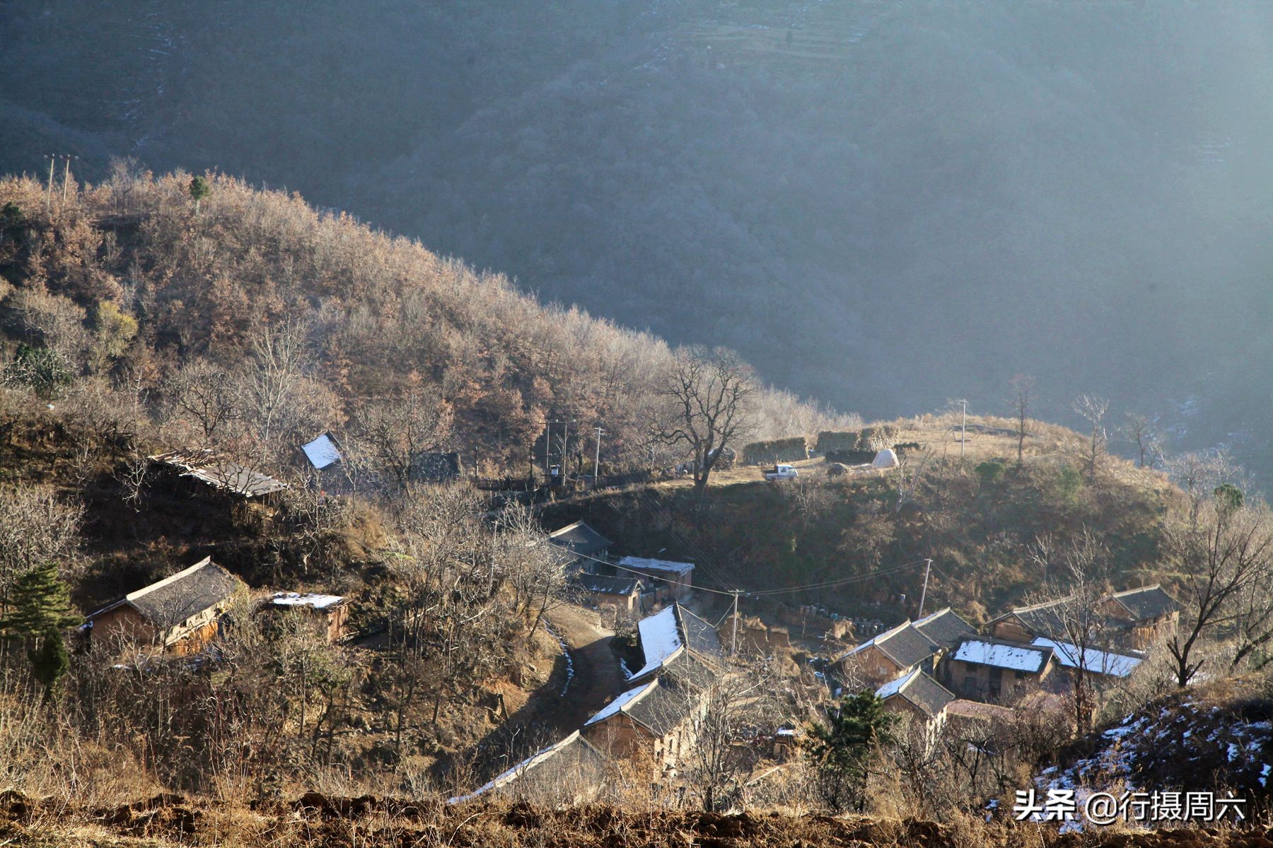 野生灵芝2000多一斤,农民山上发现超大灵芝