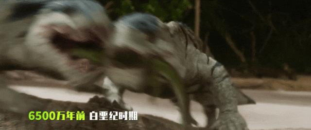 巨齿鲨2发布会全过程,巨齿鲨2有多细节