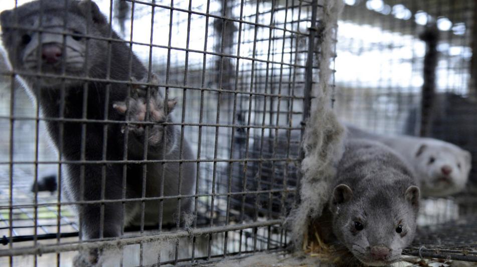 小伙创业年亏40万后逆袭,小伙创业亏损600万