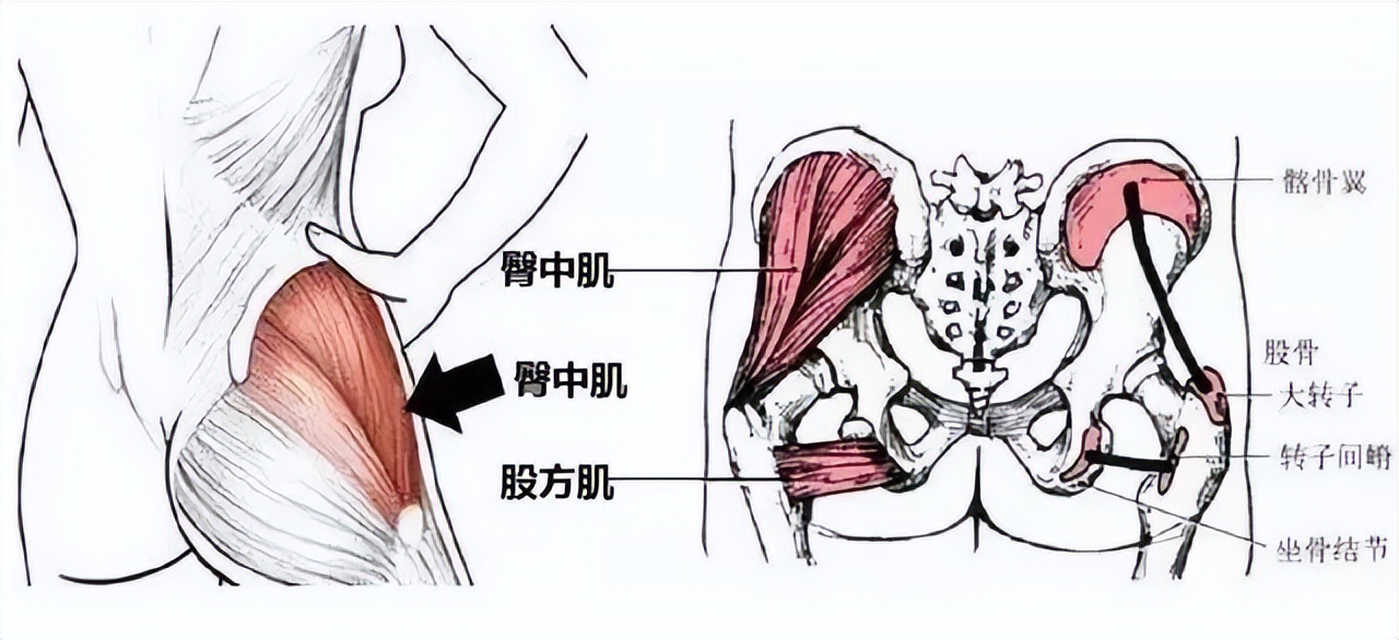 屁股上的黑印子颜色越深欲望越强？