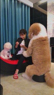 搞笑图片发烧,小女孩gif搞笑动态图片大全