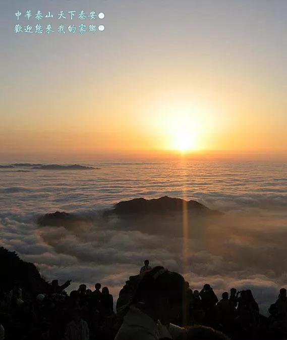 低钾引起的心律失常如何处理,低钾血症的处理原则ppt