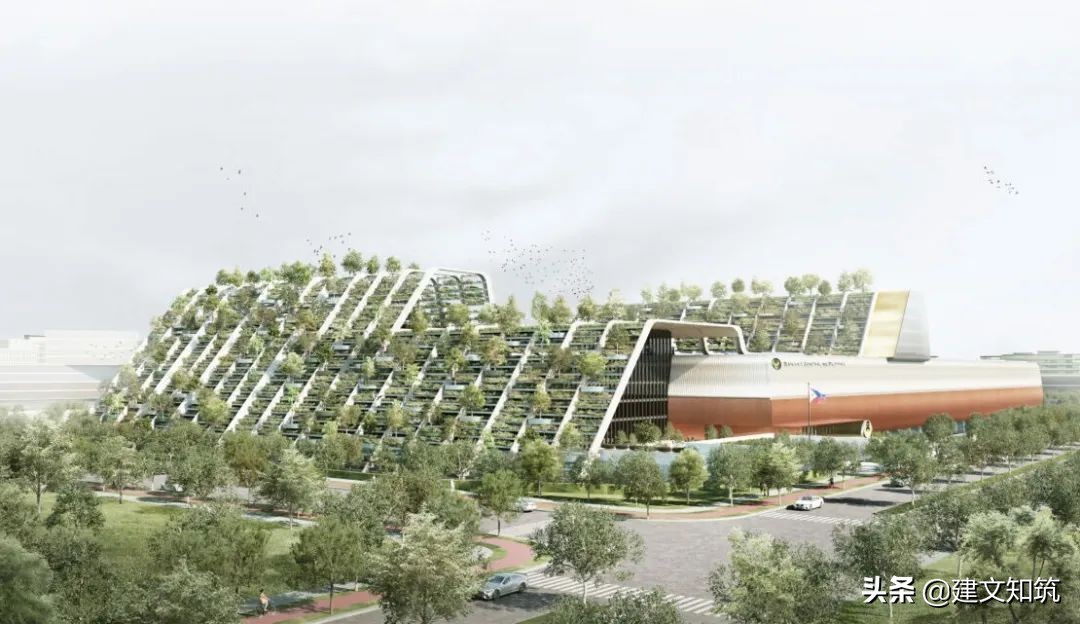 waf2023世锦赛,waf国内排名