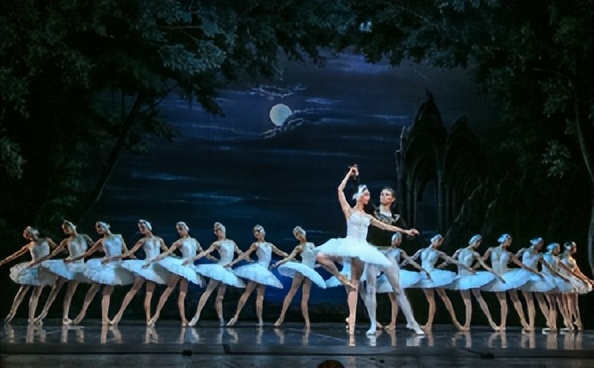 美丽的外来者：麋鹿苑中的黑天鹅