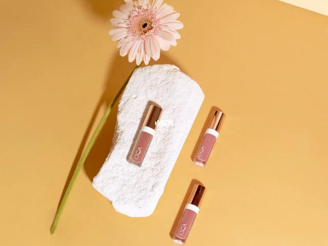 资本的最新宠儿,资本的新宠