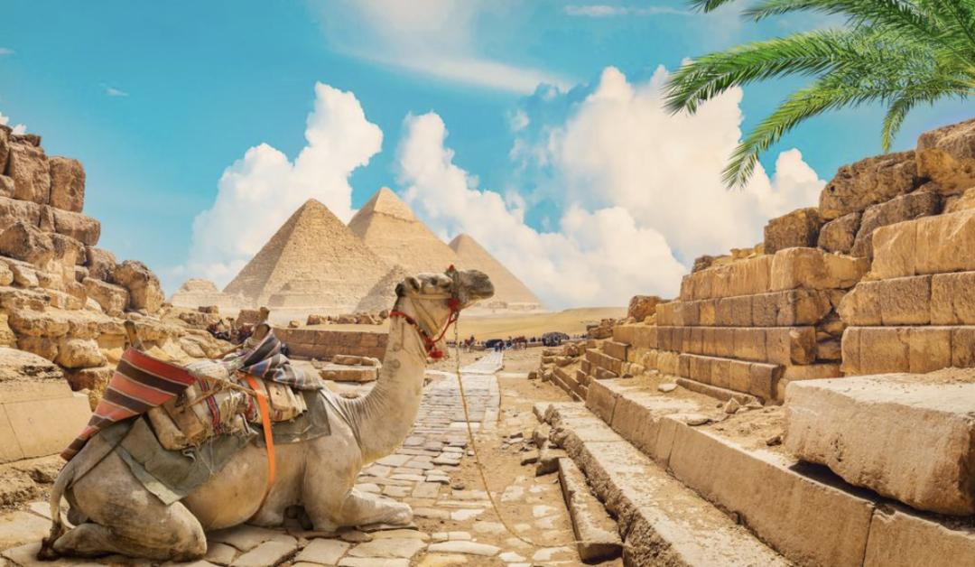 2023免签或落地签自由行国家推荐,免签落地签值得去的国家